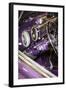 Purple Flamer II-Alan Hausenflock-Framed Photographic Print