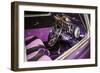 Purple Flamer III-Alan Hausenflock-Framed Photographic Print