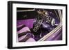 Purple Flamer III-Alan Hausenflock-Framed Photographic Print