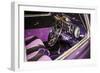 Purple Flamer III-Alan Hausenflock-Framed Photographic Print