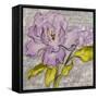 Purple Florals II-Lanie Loreth-Framed Stretched Canvas