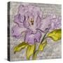 Purple Florals II-Lanie Loreth-Stretched Canvas