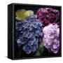 Purple Flower Bushels-Milli Villa-Framed Stretched Canvas