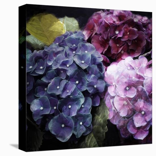 Purple Flower Bushels-Milli Villa-Stretched Canvas