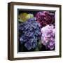 Purple Flower Bushels-Milli Villa-Framed Art Print