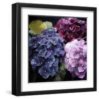 Purple Flower Bushels-Milli Villa-Framed Art Print