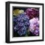 Purple Flower Bushels-Milli Villa-Framed Art Print