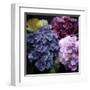 Purple Flower Bushels-Milli Villa-Framed Art Print