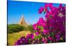 Purple flower of bougainvillea with pagoda in background, Old Bagan (Pagan),  Myanmar (Burma)-Jan Miracky-Stretched Canvas