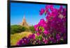 Purple flower of bougainvillea with pagoda in background, Old Bagan (Pagan),  Myanmar (Burma)-Jan Miracky-Framed Photographic Print