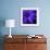 Purple Flower on Black 02-Tom Quartermaine-Framed Giclee Print displayed on a wall