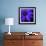 Purple Flower on Black 02-Tom Quartermaine-Framed Giclee Print displayed on a wall