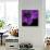 Purple Flower on Black 04-Tom Quartermaine-Framed Stretched Canvas displayed on a wall