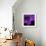 Purple Flower on Black 04-Tom Quartermaine-Framed Giclee Print displayed on a wall