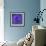 Purple Flower on Purple 03-Tom Quartermaine-Framed Giclee Print displayed on a wall