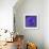 Purple Flower on Purple 03-Tom Quartermaine-Framed Giclee Print displayed on a wall