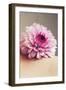 Purple Flower on Shoulder of Female-Carolina Hernandez-Framed Photographic Print