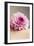 Purple Flower on Shoulder of Female-Carolina Hernandez-Framed Photographic Print