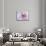 Purple Flower-Michele Westmorland-Mounted Photographic Print displayed on a wall