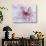 Purple Flower-Michele Westmorland-Photographic Print displayed on a wall