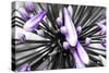 Purple Flower-PhotoINC-Stretched Canvas