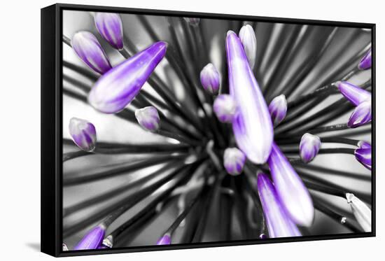 Purple Flower-PhotoINC-Framed Stretched Canvas
