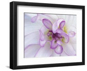 Purple Flower-Michele Westmorland-Framed Photographic Print