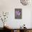 Purple Flower-Den Reader-Photographic Print displayed on a wall
