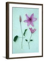 Purple Flower-Den Reader-Framed Photographic Print