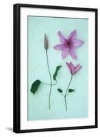 Purple Flower-Den Reader-Framed Photographic Print