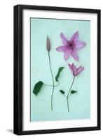 Purple Flower-Den Reader-Framed Photographic Print