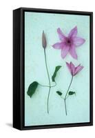 Purple Flower-Den Reader-Framed Stretched Canvas