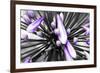 Purple Flower-PhotoINC-Framed Photographic Print