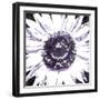 Purple Flower-Christine O’Brien-Framed Giclee Print