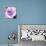 Purple Flower-Emily Navas-Art Print displayed on a wall