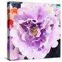 Purple Flower-Emily Navas-Stretched Canvas