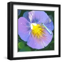 Purple Flower-Scott Westmoreland-Framed Art Print