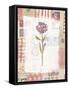 Purple Flower-Hope Street Designs-Framed Stretched Canvas