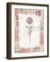 Purple Flower-Hope Street Designs-Framed Giclee Print