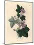 Purple Flowered Mallow, Malva Sylvestris-James Sowerby-Mounted Giclee Print