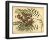 Purple Flowers, 1870S-Pietro Guidi-Framed Giclee Print