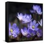 Purple Flowers-null-Framed Stretched Canvas