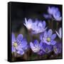 Purple Flowers-null-Framed Stretched Canvas