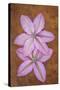 Purple Flowers-Den Reader-Stretched Canvas