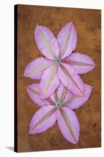 Purple Flowers-Den Reader-Stretched Canvas