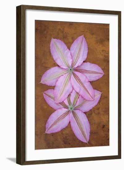 Purple Flowers-Den Reader-Framed Photographic Print