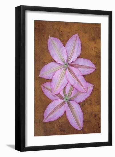 Purple Flowers-Den Reader-Framed Photographic Print