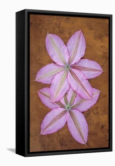 Purple Flowers-Den Reader-Framed Stretched Canvas