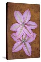 Purple Flowers-Den Reader-Stretched Canvas