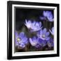 Purple Flowers-null-Framed Photographic Print